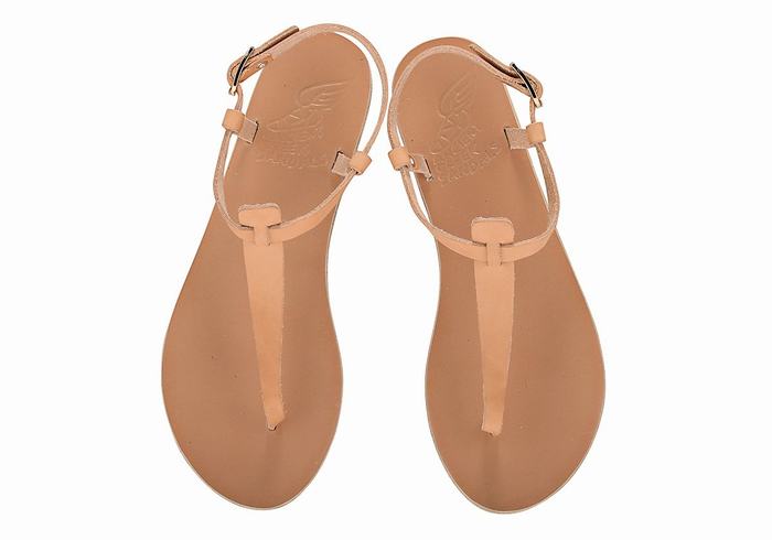 Sandały Z Paskiem Na Plecy Damskie Ancient Greek Sandals Lito Flip Flop Leather Beżowe | QCU8416JD