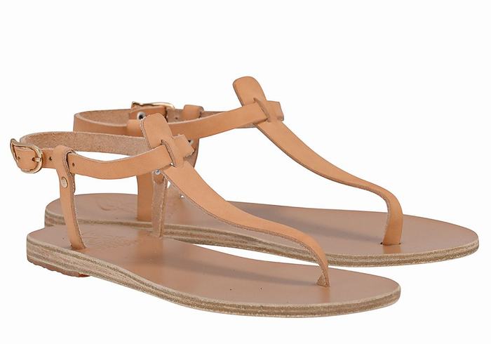 Sandały Z Paskiem Na Plecy Damskie Ancient Greek Sandals Lito Flip Flop Leather Beżowe | QCU8416JD