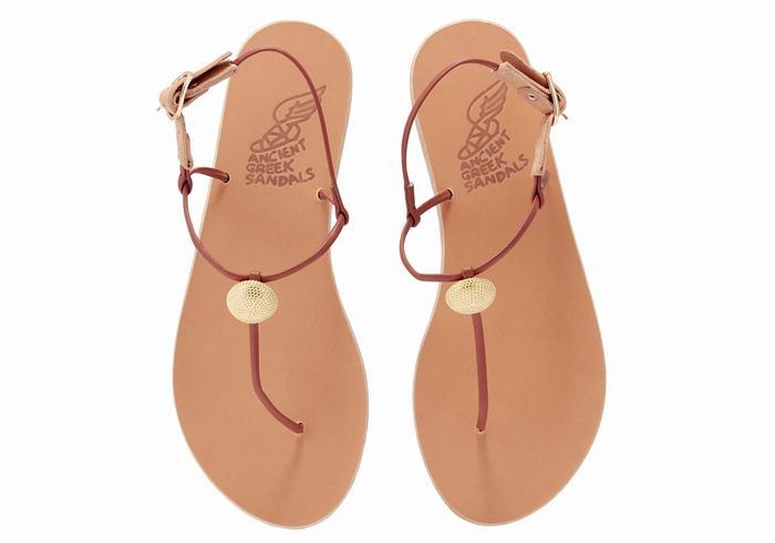 Sandały Z Paskiem Na Plecy Damskie Ancient Greek Sandals Dimitra Flip Flop Czerwone | PYW4654MB