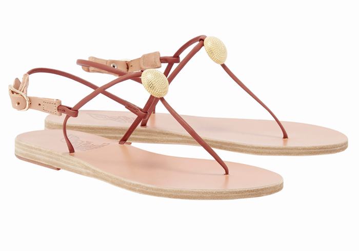 Sandały Z Paskiem Na Plecy Damskie Ancient Greek Sandals Dimitra Flip Flop Czerwone | PYW4654MB