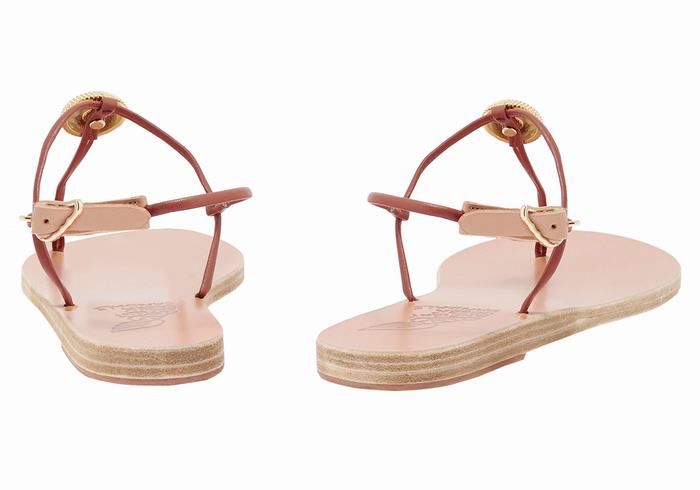 Sandały Z Paskiem Na Plecy Damskie Ancient Greek Sandals Dimitra Flip Flop Czerwone | PYW4654MB