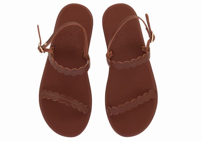 Sandały Z Paskiem Na Plecy Damskie Ancient Greek Sandals Aroula Kawa | SRE684LJ