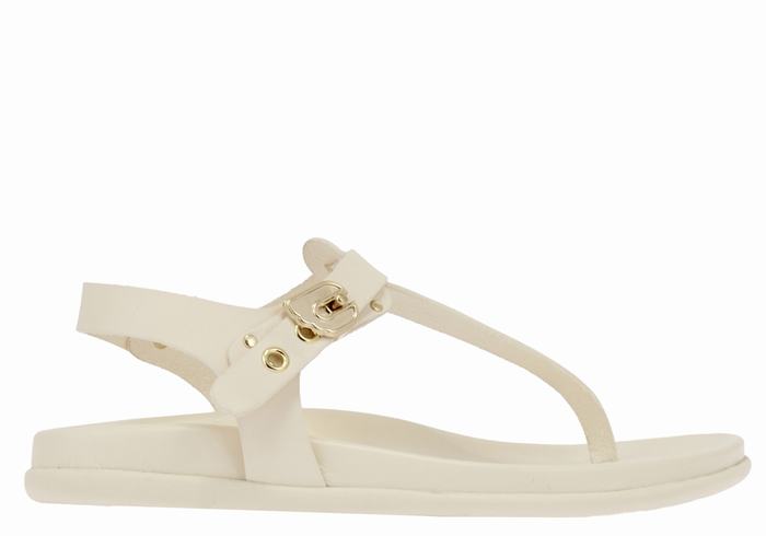 Sandały Z Paskiem Na Plecy Damskie Ancient Greek Sandals Alki Flip Flop Białe | HKR855KD