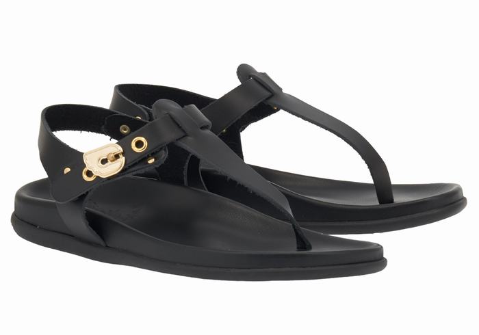 Sandały Z Paskiem Na Plecy Damskie Ancient Greek Sandals Alki Flip Flop Czarne | GCZ5283YQ