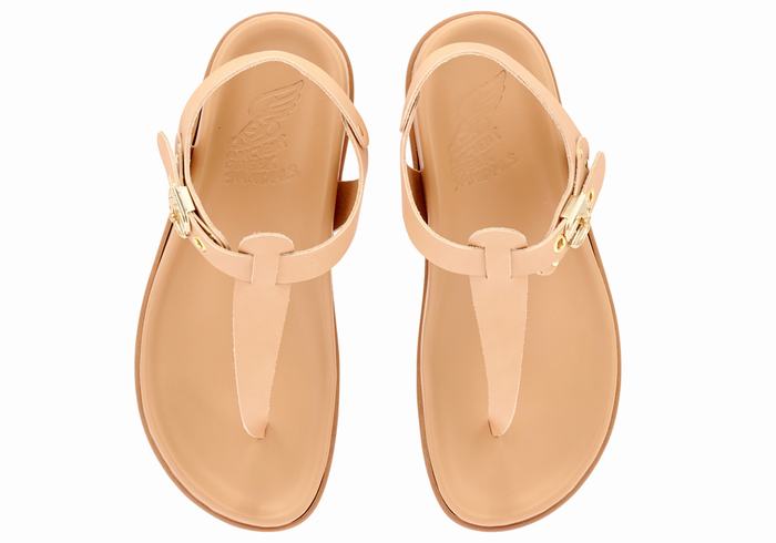 Sandały Z Paskiem Na Plecy Damskie Ancient Greek Sandals Alki Flip Flop Beżowe | QUP3193UR