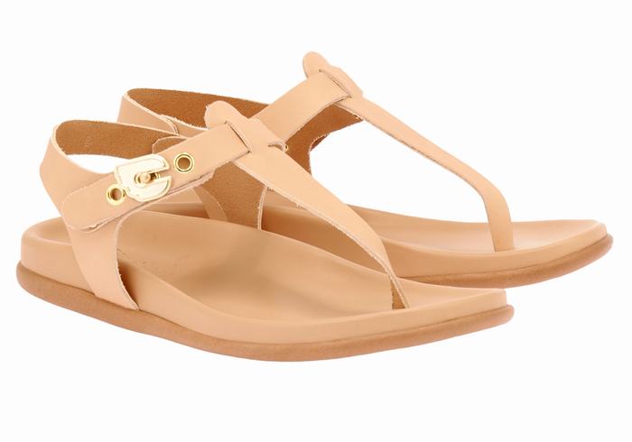 Sandały Z Paskiem Na Plecy Damskie Ancient Greek Sandals Alki Flip Flop Beżowe | QUP3193UR