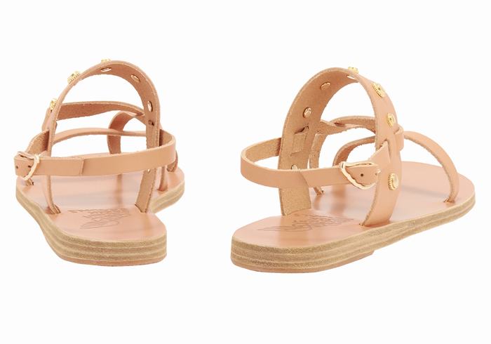 Sandały Z Paskiem Na Plecy Damskie Ancient Greek Sandals Alethea Bee Beżowe | NUT135MO