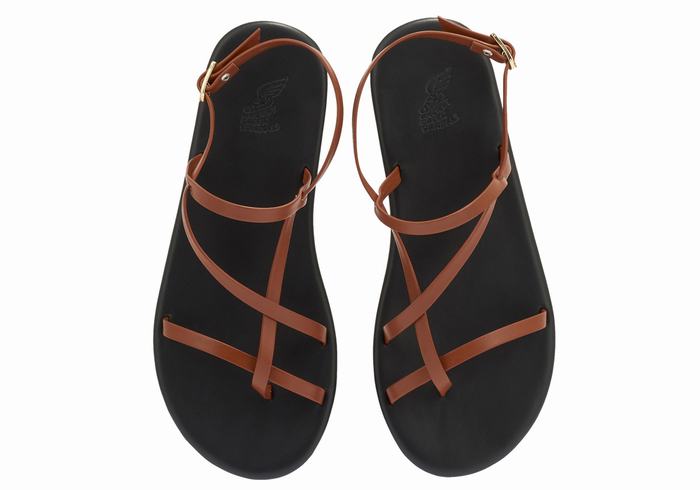 Sandały Z Paskiem Na Plecy Damskie Ancient Greek Sandals Alethea Ciemny Brązowe | RDF1478GJ