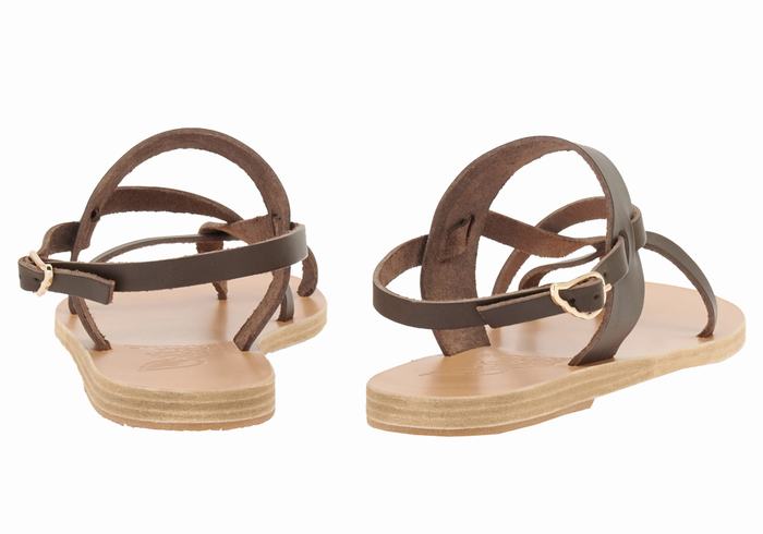 Sandały Z Paskiem Na Plecy Damskie Ancient Greek Sandals Alethea Czekolada | IBZ281IC