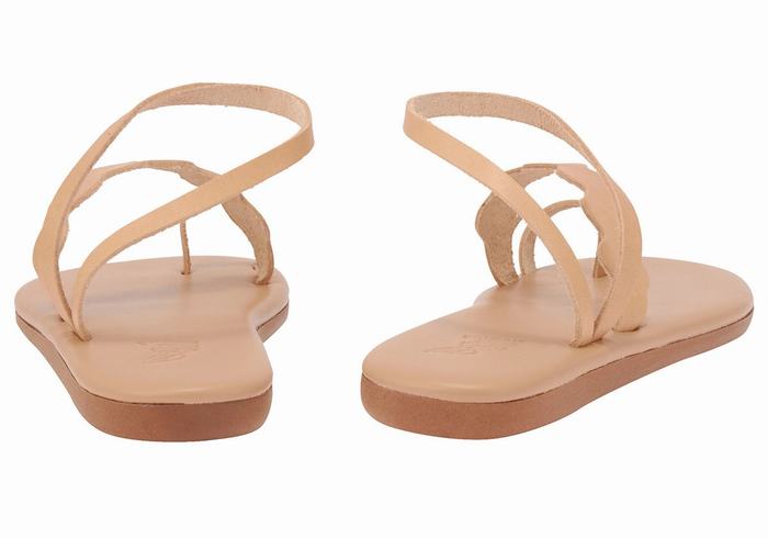 Sandały Ze Słupkami Damskie Ancient Greek Sandals Koralia Beżowe | POM452XL